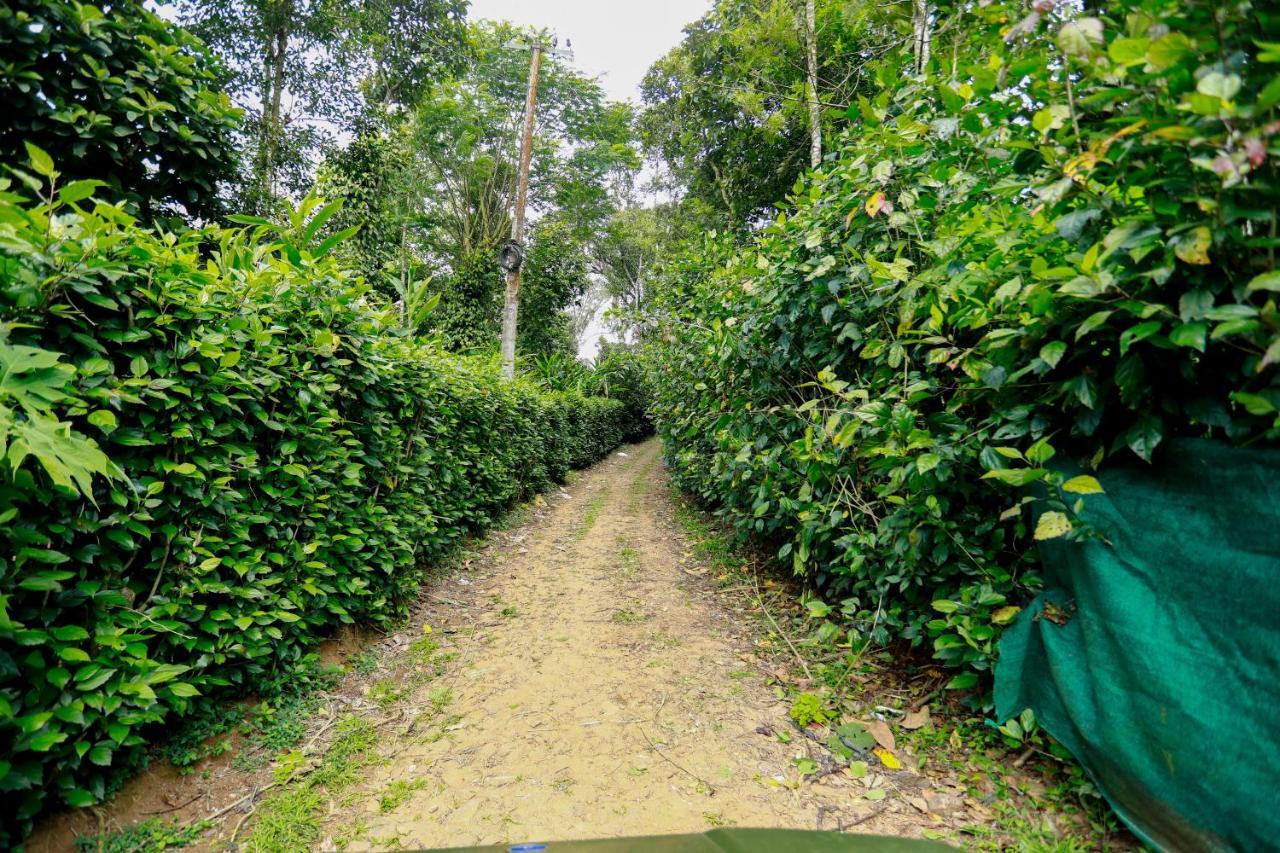 Thekkady Kalarickal Heritage Bungalow Vandanmedu Exteriér fotografie