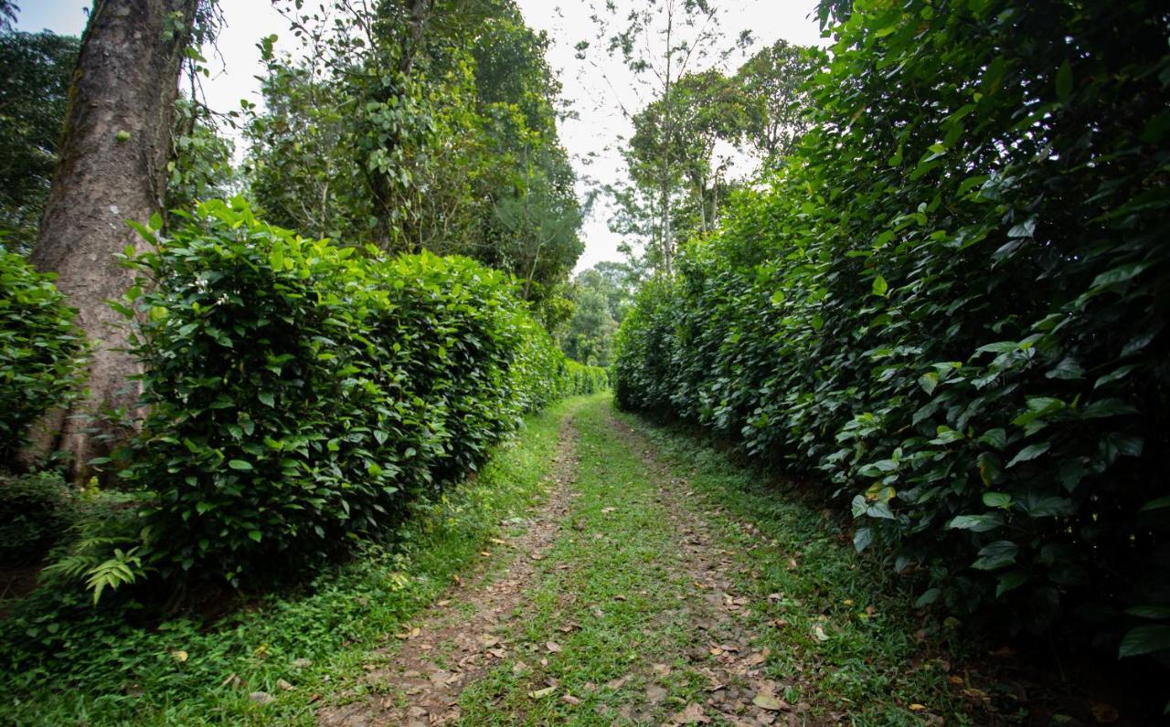 Thekkady Kalarickal Heritage Bungalow Vandanmedu Exteriér fotografie